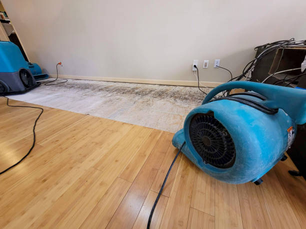 Professional Flood Damage Cleanup technician working in Lansdowne, MD